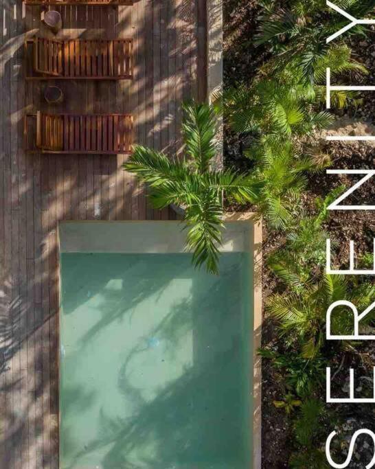 Villa Xuncari In The Heart Of The Jungle Tulum Zewnętrze zdjęcie