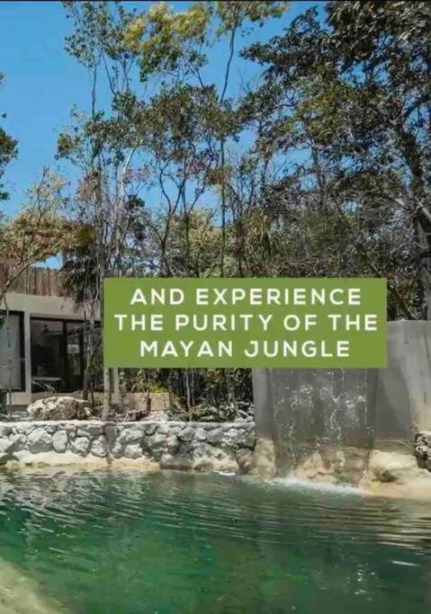 Villa Xuncari In The Heart Of The Jungle Tulum Zewnętrze zdjęcie
